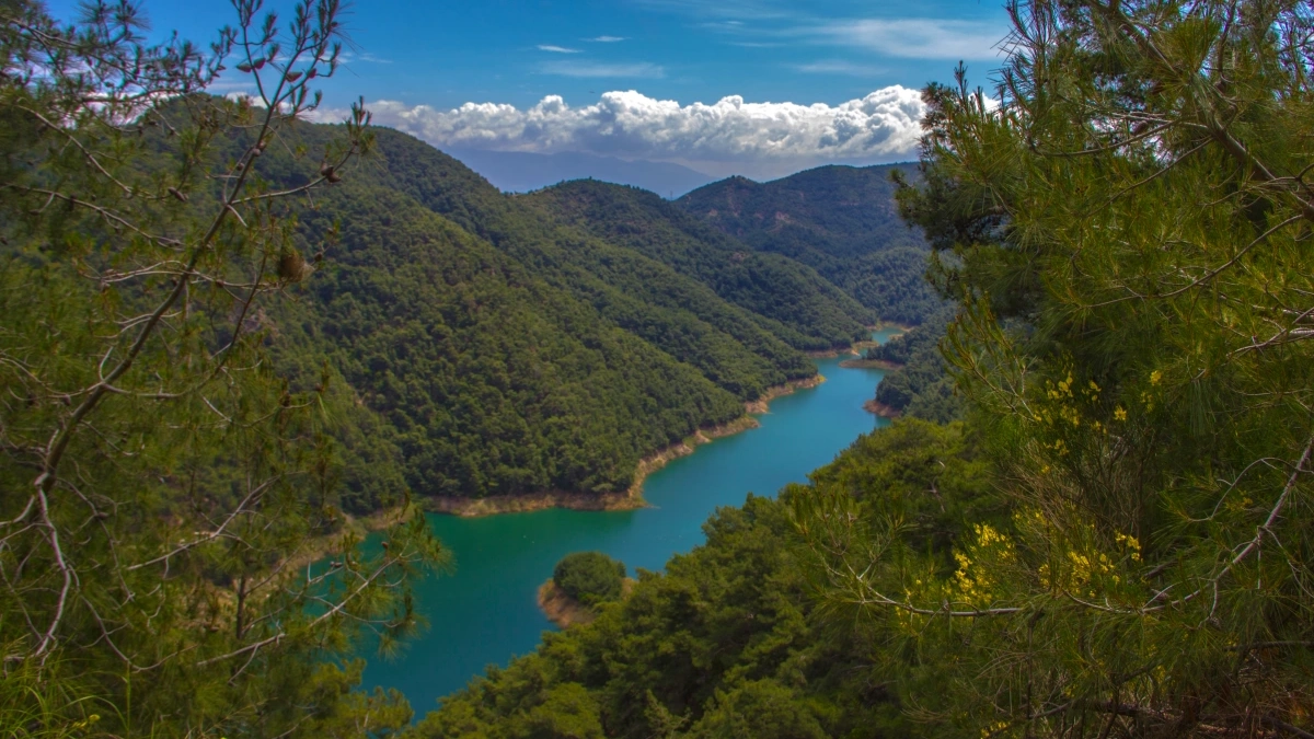 Balçova Terapi Ormanı
