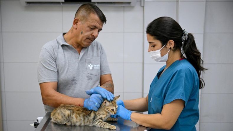 Can Dostlar Bornova&rsquo;da Mutluluktan U&ccedil;uyor