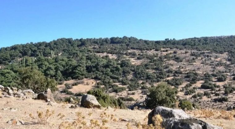 CHP'li G&uuml;&ccedil; Yamanlar &Uuml;zerine Tartışmalara Değindi: Belediye Başkanlarının Basın &Uuml;zerinden Konuşmasını Doğru Bulmuyorum