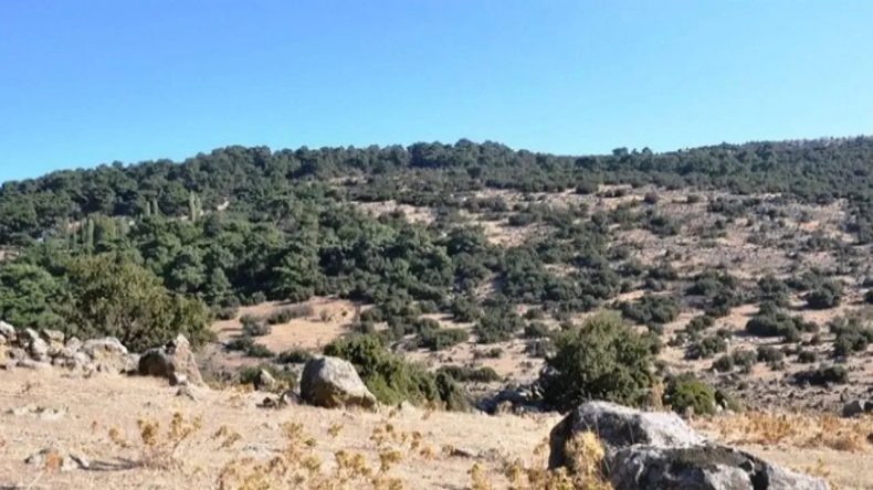 CHP'li G&uuml;&ccedil; Yamanlar &Uuml;zerine Tartışmalara Değindi: Belediye Başkanlarının Basın &Uuml;zerinden Konuşmasını Doğru Bulmuyorum