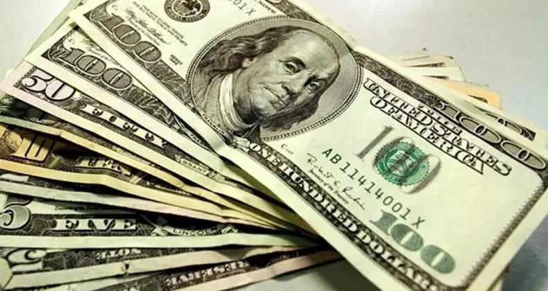 Dolar sahiplerine &ouml;nemli uyarı: Bu yıl değer kaybı olabilir