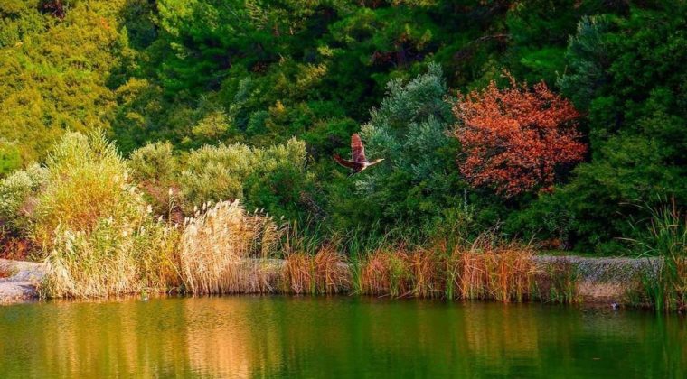 Homeros Vadisi Nerede ve Nasıl Gidilir? İzmir'in Hafta Sonu İ&ccedil;in En İyi Doğa Rotası