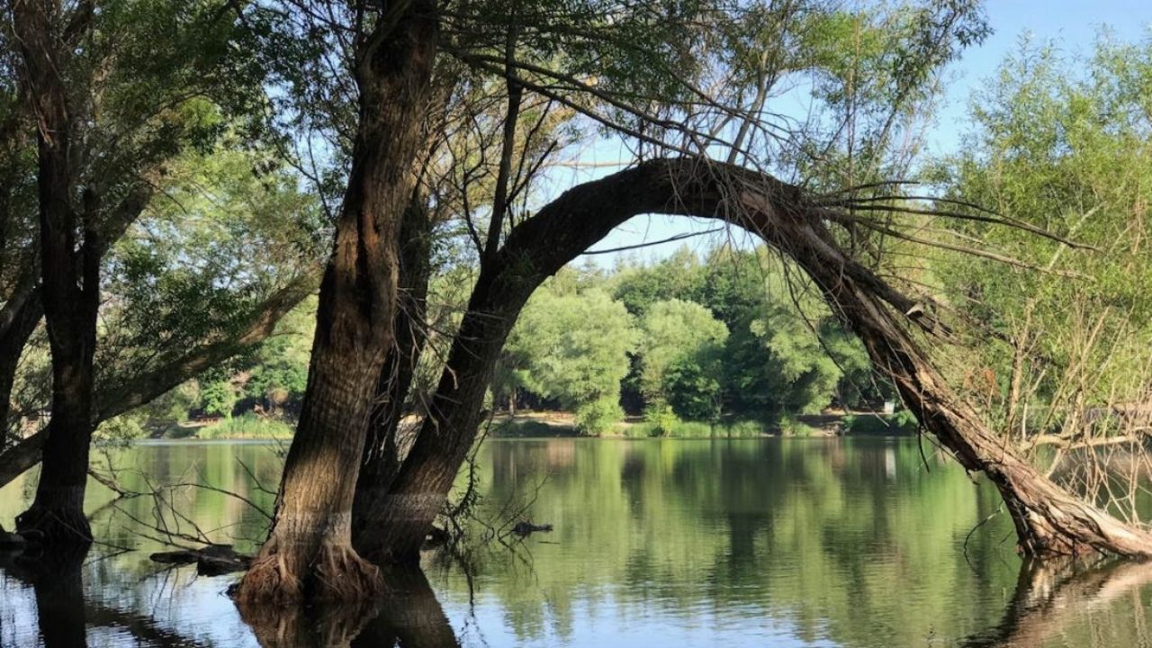 Karagöl Tabiat Parkı