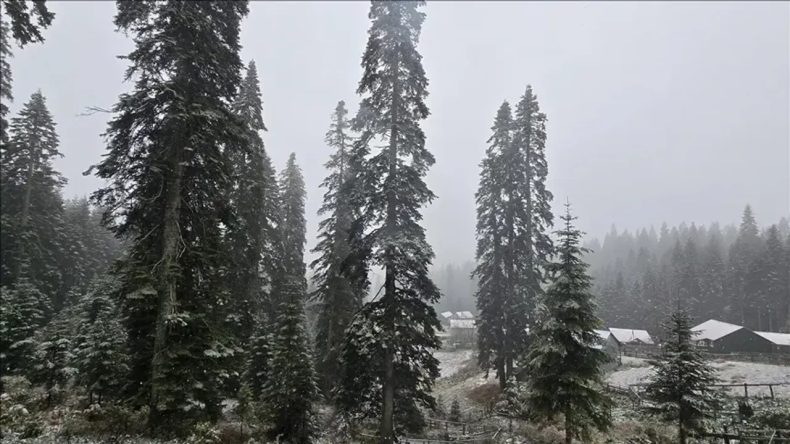 İzmir Karla Buluştu: Urla Yeni Yıla Karla Uyandı