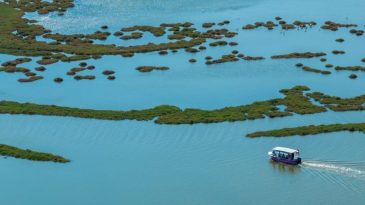 İzmir Yarıyıl Tatilinde Doğa, K&uuml;lt&uuml;r ve Deniz Keyfi: İZDENİZ Turlarıyla Flamingo G&ouml;zleminden K&ouml;rfez Gezilerine