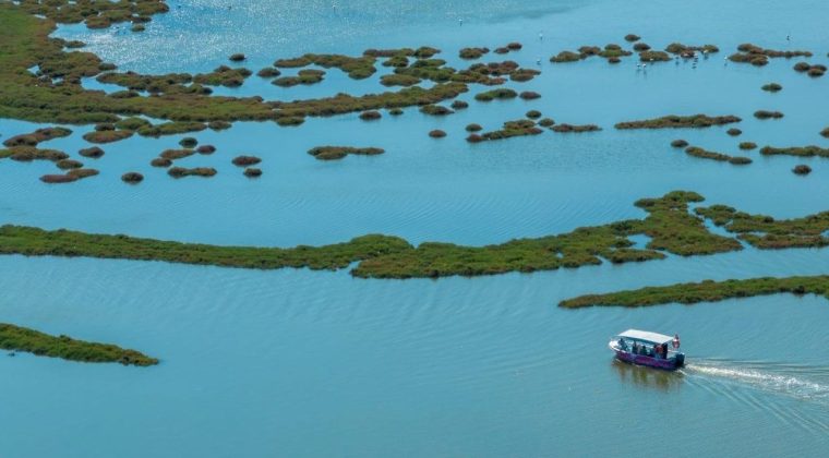 İzmir Yarıyıl Tatilinde Doğa, K&uuml;lt&uuml;r ve Deniz Keyfi: İZDENİZ Turlarıyla Flamingo G&ouml;zleminden K&ouml;rfez Gezilerine