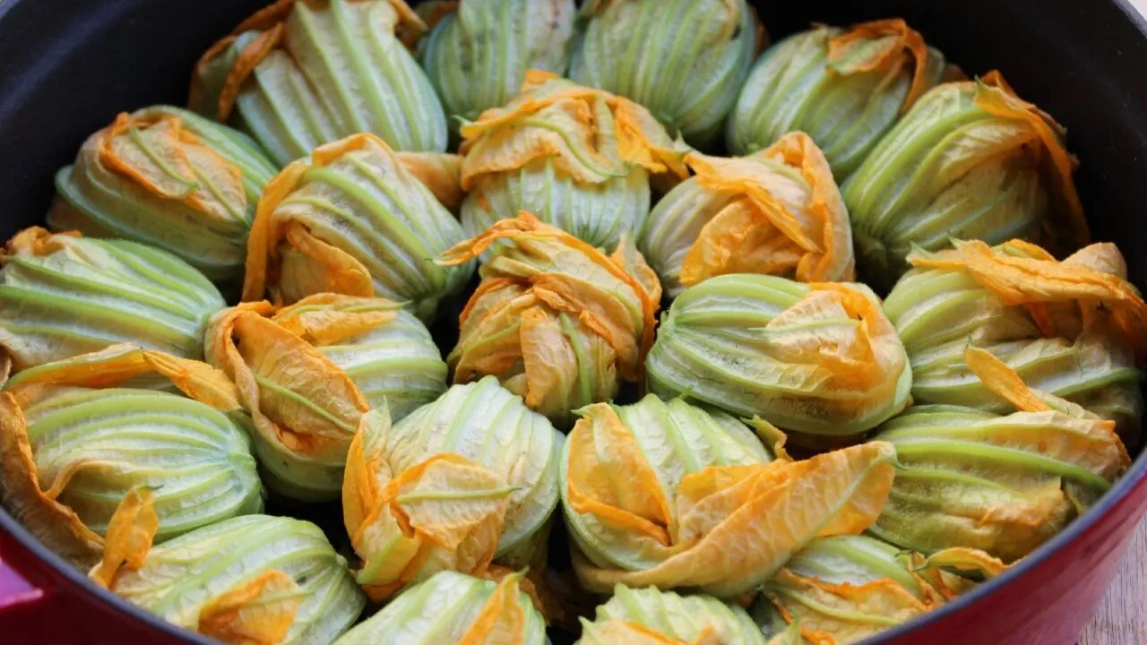 Kabak Çiçeği Dolması