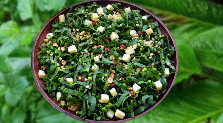 İzmirlilerin Vitamin Kaynağı: Pratik Labada Salatası Nasıl Hazırlanır?