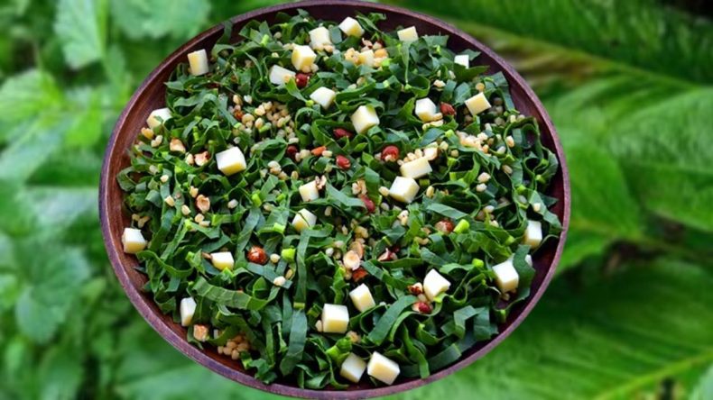 İzmirlilerin Vitamin Kaynağı: Pratik Labada Salatası Nasıl Hazırlanır?