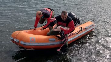İzmir&rsquo;de &Ccedil;evre İhmali Tehlike Yarattı: Ayağına Misina Dolanan Flamingo Kurtarıldı