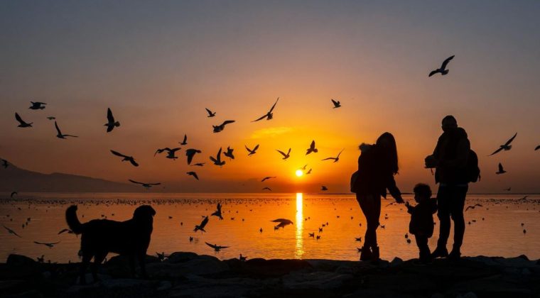 Kardeş Kadrajlar Karşıyaka'da Buluşuyor