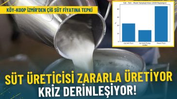 K&Ouml;Y-KOOP İzmir, &Ccedil;iğ S&uuml;t Fiyatına Tepki G&ouml;sterdi: Maliyetleri Karşılamıyor