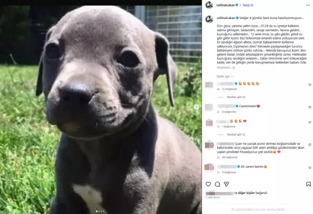 Celil Nalçakan ve Rodin'in anısı