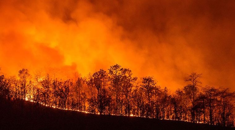 Tugay&rsquo;dan Dikkat &Ccedil;eken Kayıp Ka&ccedil;ak A&ccedil;ıklaması: Orman Yangınında Kullanıldı