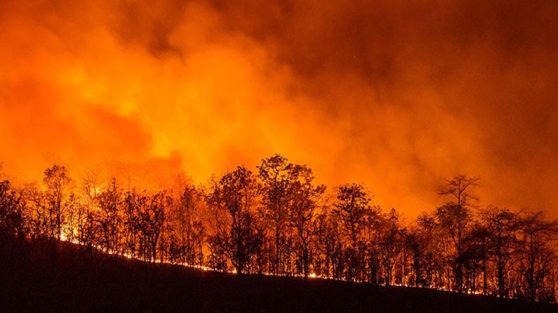 Tugay&rsquo;dan Dikkat &Ccedil;eken Kayıp Ka&ccedil;ak A&ccedil;ıklaması: Orman Yangınında Kullanıldı