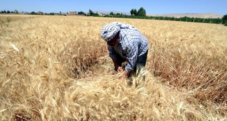 TZOB Başkanı Bayraktar acı tabloyu anlattı: 2025 &ccedil;ift&ccedil;ilerin felaket yılı oldu!