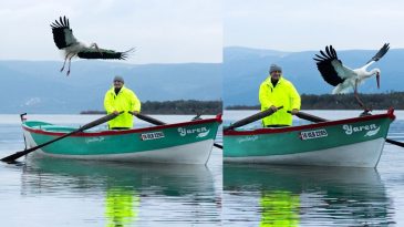 15 Yıllık Dostluk: Yaren Leylek ve Adem Amca Yeniden Buluştu