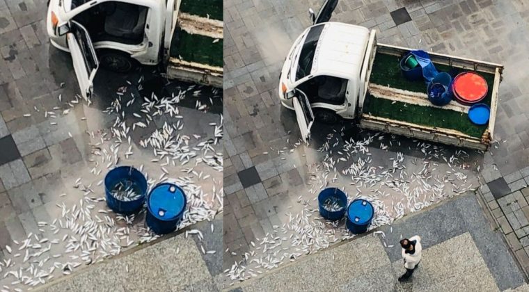 Bayraklı Belediyesi'nde Balık&ccedil;ı Protestosu: &Uuml;r&uuml;nlerini Belediyenin &Ouml;n&uuml;ne D&ouml;kt&uuml;