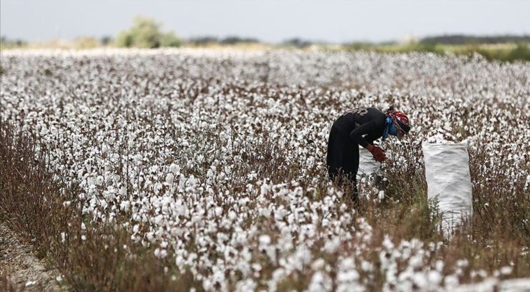 CHP'li Tevfik T&uuml;rk: İzmir, K&uuml;&ccedil;&uuml;k Menderes Havzası'nda Tarımsal Kırılma