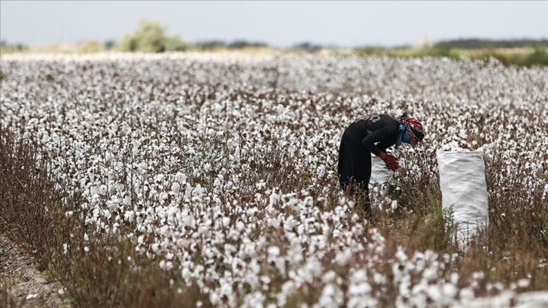 CHP'li Tevfik T&uuml;rk: İzmir, K&uuml;&ccedil;&uuml;k Menderes Havzası'nda Tarımsal Kırılma