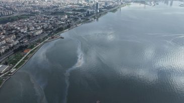 İzmir K&ouml;rfezi&rsquo;nde Kirlilik Uyarısı: Gemi Kaynaklı Mazot ve Yağ Tehdidi