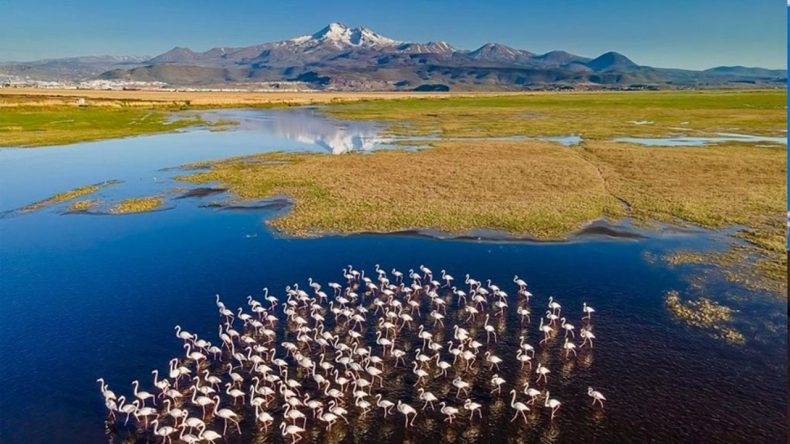 İzmir Yaşam Alanları'ndan Sulak Alanlar &Uuml;zerine &Ouml;nemli A&ccedil;ıklama: Kutlama Değil, Alarm G&uuml;n&uuml;!