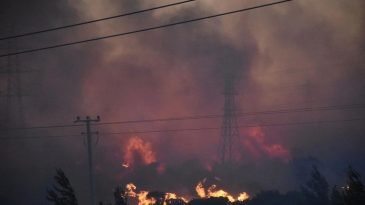 İzmir'de Orman Yangınlarına Karşı Denetim &Ccedil;ağrısı: Elektrik Dağıtımı Kamulaştırılmalı