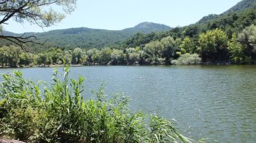 İzmir&rsquo;de Ormanın Kalbine Han&ccedil;er Girişimine Jet İptal!