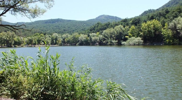 İzmir&rsquo;de Ormanın Kalbine Han&ccedil;er Girişimine Jet İptal!