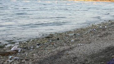 İzmir&rsquo;de Y&uuml;rekleri Dağlayan Olay: K&uuml;&ccedil;&uuml;k &Ccedil;ocuğun Cansız Bedeni Bulundu