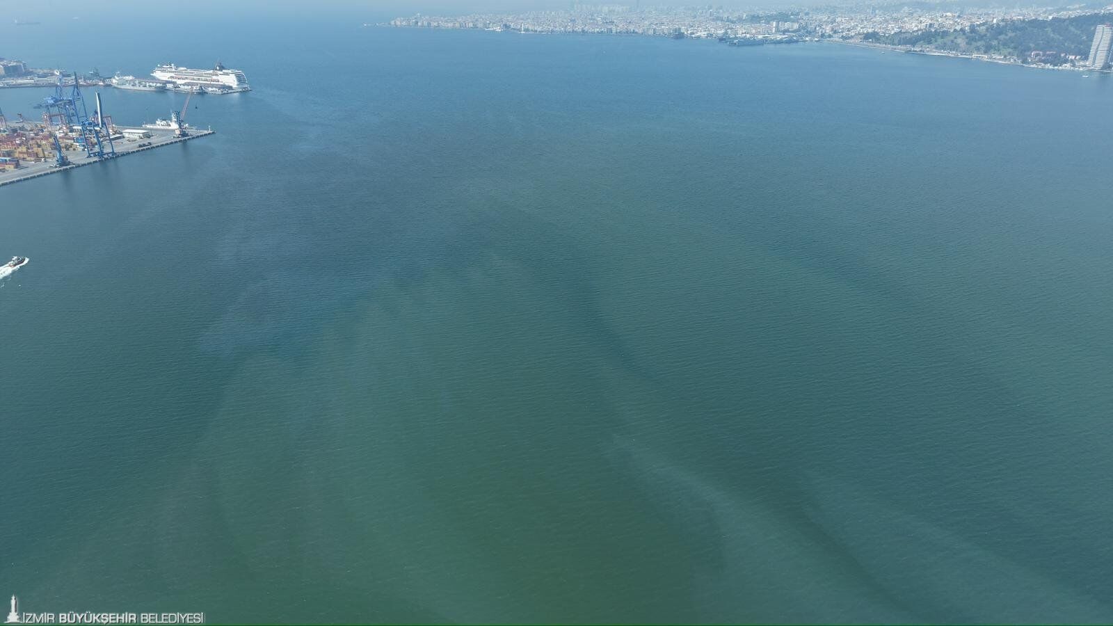 İzmir Körfezi Kirliği