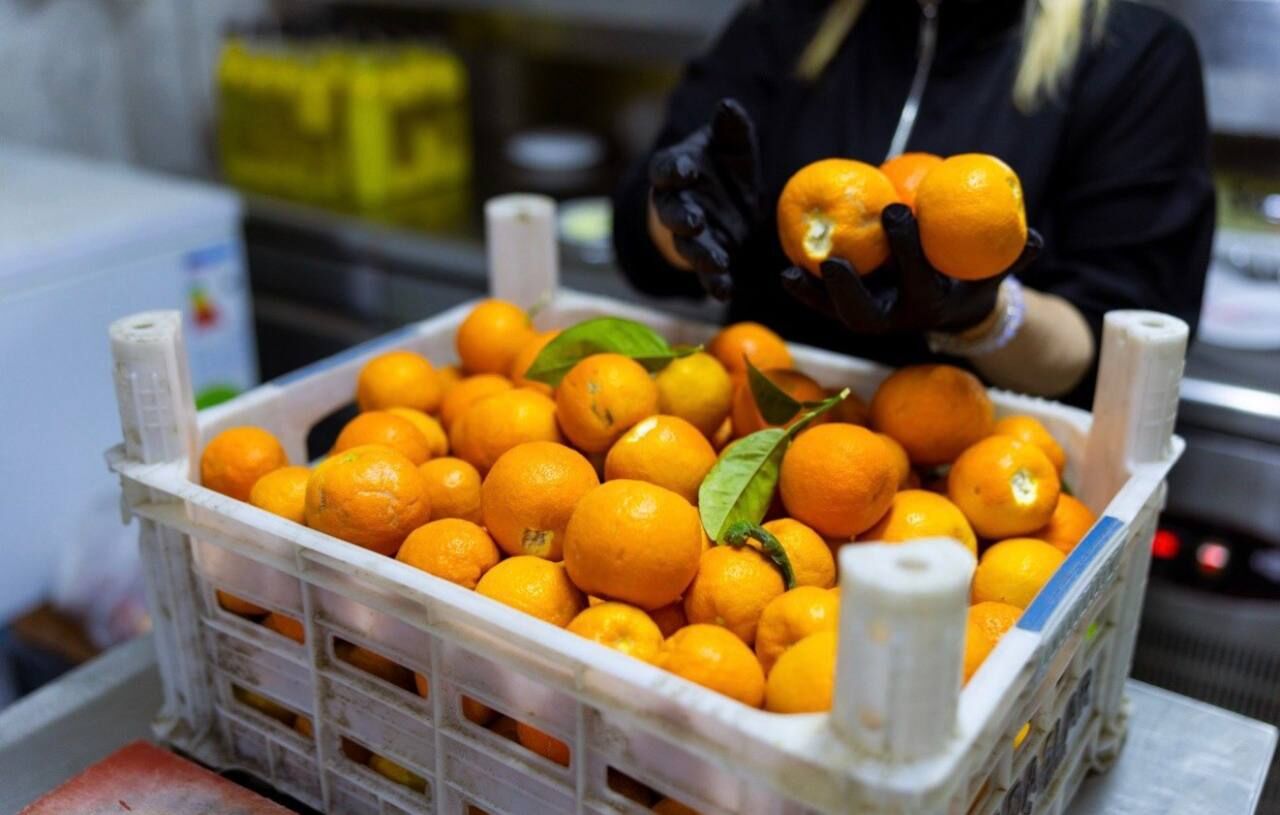 Balçova Belediyesi dayanışma projeleri