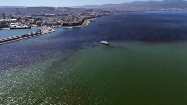 ABD&rsquo;li ve &Ccedil;in&rsquo;li bilim insanlarından İzmir K&ouml;rfezi i&ccedil;in modifiye kil &ouml;nerisi