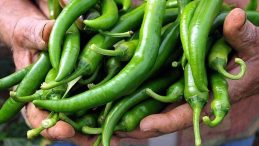 Bakanlıktan biber fiyatlarına inceleme: 1,8 milyon liralık ceza!