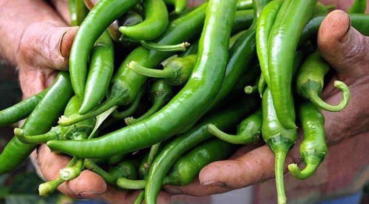 Bakanlıktan biber fiyatlarına inceleme: 1,8 milyon liralık ceza!