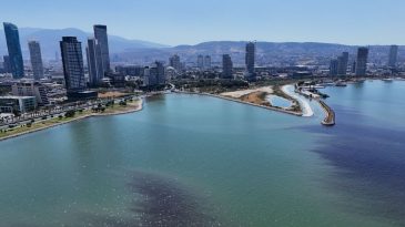 Bilim insanları İzmir K&ouml;rfezi i&ccedil;in birleşti: &Ccedil;&ouml;z&uuml;mler masaya yatırıldı