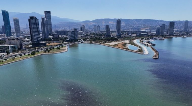 Bilim insanları İzmir K&ouml;rfezi i&ccedil;in birleşti: &Ccedil;&ouml;z&uuml;mler masaya yatırıldı