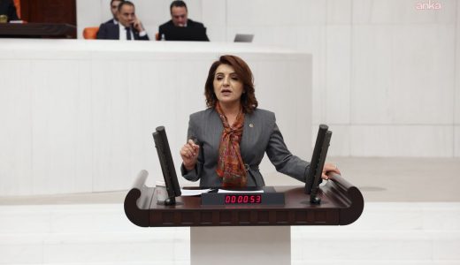 CHP&rsquo;li G&uuml;lcan Kış: Ekonomi bor&ccedil; ve işsizlik sarmalında