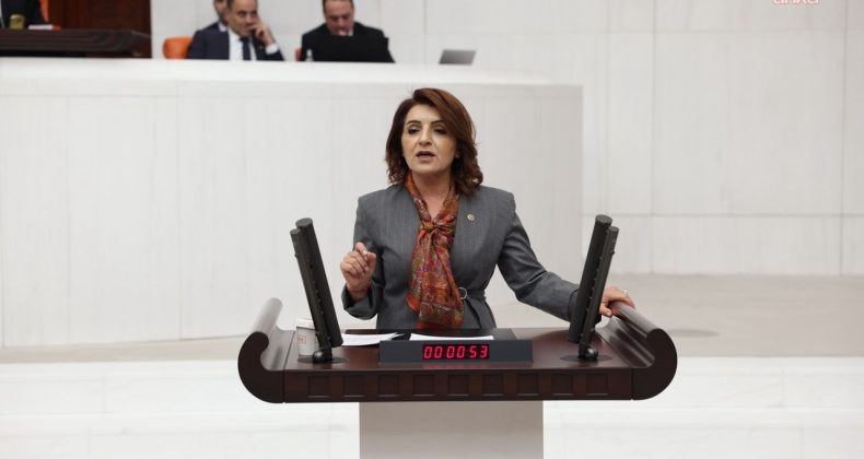 CHP’li Gülcan Kış: Ekonomi borç ve işsizlik sarmalında
