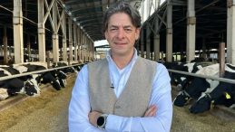 CHP&rsquo;li Solakoğlu&rsquo;ndan Tavuk Sekt&ouml;r&uuml;ndeki İhracat Yasağına Tepki: Gıda Enflasyonuna Ters Etki Yapacak!