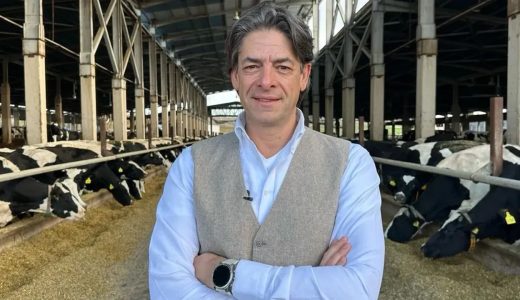 CHP&rsquo;li Solakoğlu&rsquo;ndan Tavuk Sekt&ouml;r&uuml;ndeki İhracat Yasağına Tepki: Gıda Enflasyonuna Ters Etki Yapacak!