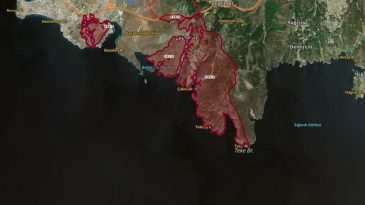 DEVA Partisi&rsquo;nden İzmir&rsquo;de orman tahsislerine tepki: Kıymayın efendiler!