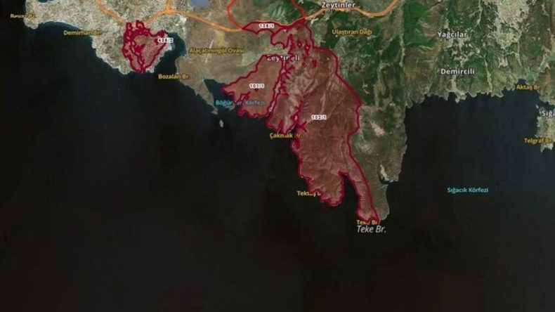 DEVA Partisi&rsquo;nden İzmir&rsquo;de orman tahsislerine tepki: Kıymayın efendiler!