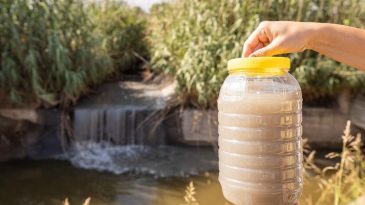 İzmir B&uuml;y&uuml;kşehir&rsquo;den Gediz i&ccedil;in kapsamlı &ccedil;alışma