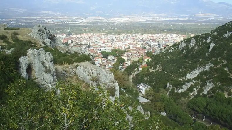 İzmir Kemalpaşa'da Mahkemeden Satılık Tarım Arazisi