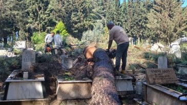 İzmir&rsquo;deki fırtınadan mezarlıklar etkilendi: Devrilen ağa&ccedil;lar kaldırıldı, onarıma başlandı