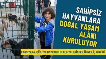 Karşıyaka, &Ccedil;iğli ve Bayraklı belediyelerinden &ouml;rnek iş birliği: Sahipsiz hayvanlar i&ccedil;in Doğal Yaşam Alanı kuruluyor
