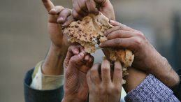 Korkutan 'gıda krizi' uyarısı: G&uuml;bre şoku kıtlığa s&uuml;r&uuml;kleyebilir