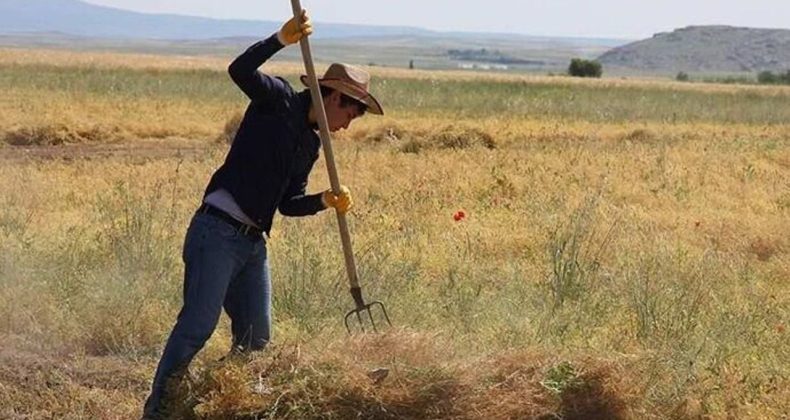 T&Uuml;İK a&ccedil;ıkladı: &Ccedil;ift&ccedil;inin maliyeti Ocak&rsquo;ta da arttı