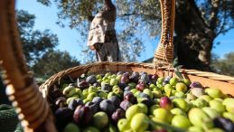 40 Yıllık Firma İflasın Eşiğinde: BAKTAT Konkordato İlan Etti